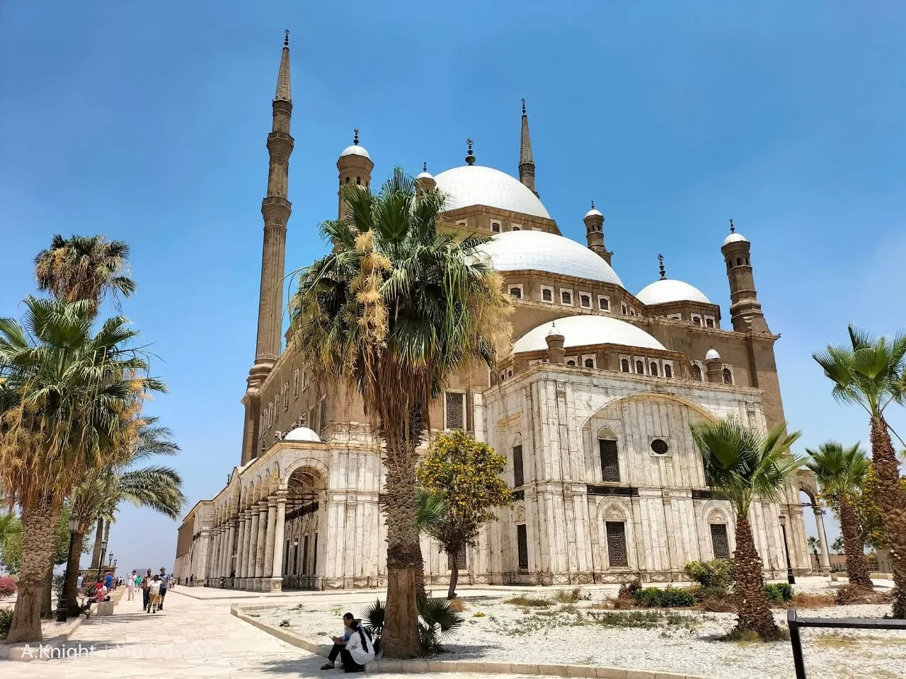 The white domes and tall minarets of the Muhammad Ali Mosque inside the Citadel of Saladin, framed by palm trees.