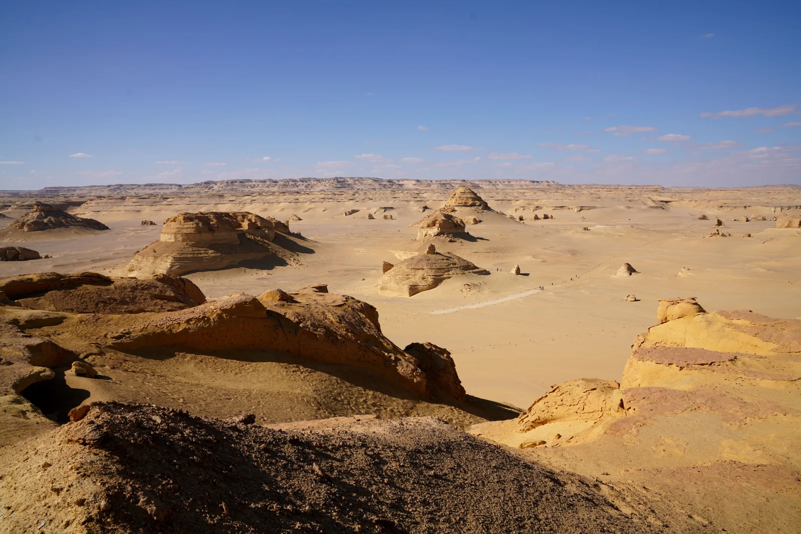 Wind-carved sandstone formations scattered across the Western Desert under a blue sky